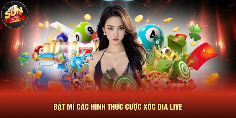 Live Xóc Dĩa | Sảnh Cược Xanh Chín, Thưởng Lớn 2026 3 Bật mí các hình thức cược xóc dĩa live