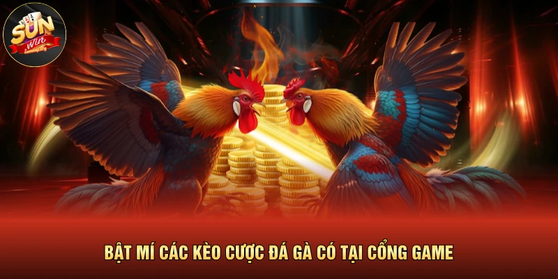 Đá Gà SUNWIN | Trực Tiếp Các Trận Đấu Mãn Nhãn, Góc Quay 4K 4 Bật mí các kèo cược đá gà có tại cổng game