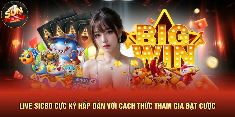 Live Sicbo Cực Kỳ Hấp Dẫn Với Cách Thức Tham Gia Đặt Cược 1 Live Sicbo Cực Kỳ Hấp Dẫn Với Cách Thức Tham Gia Đặt Cược