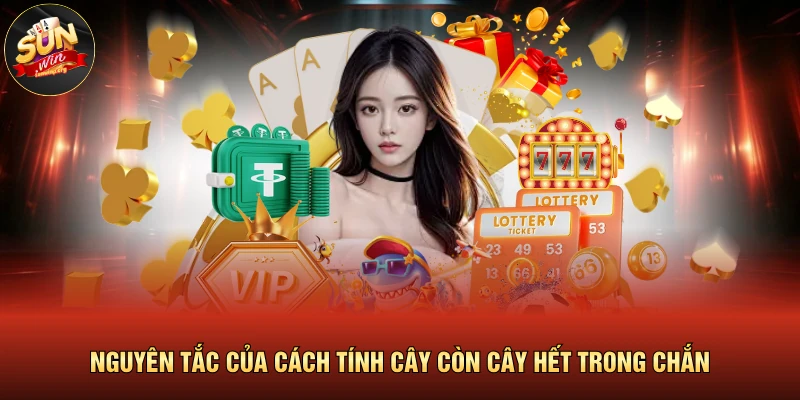 Nguyên tắc của cách tính cây còn cây hết trong chắn 