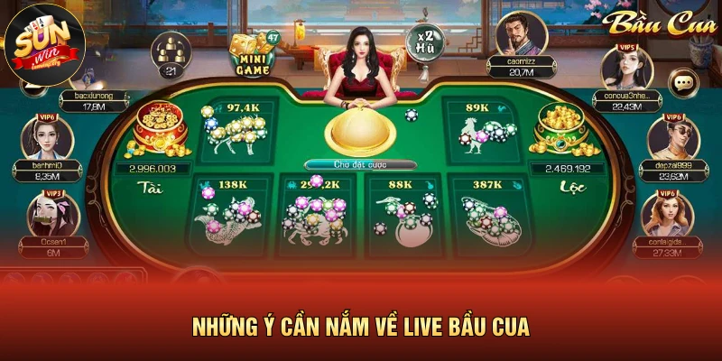Live Bầu Cua | Sảnh Chơi Trực Tuyến, Dealer Quy Phái 2026 2 Những ý cần nắm về live bầu cua